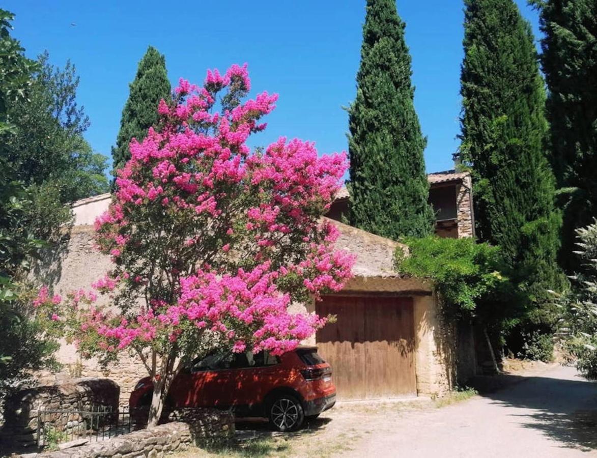 Maison 1643 Laudun Exterior photo